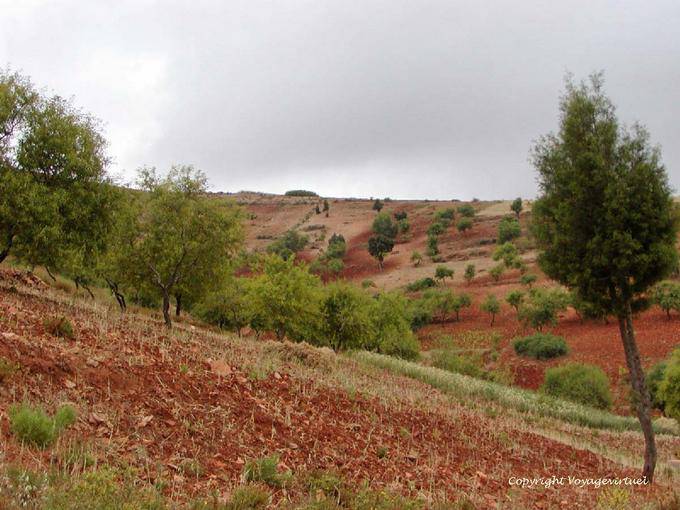 Colours of the Rif - Morocco
