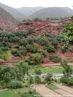 Culture in the valley and houses on the hill, Ourika Valley, Morocco.