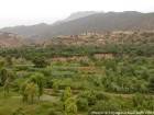 Crops and village Taljerft above the wadi, Ourika, Morocco.