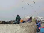 Essaouira, sailors working on the port, Morocco.
