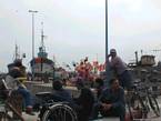 Waiting at the port side trawlers, Essaouira, Morocco.