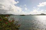 Landscape of the Bay Fort de France, Martinique.