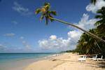 Salines beach, Martinique.