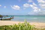 Beach of Anse Caritan, near Sainte Anne, Martinique.