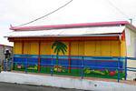The colors of a painted facade, The Preacher, Martinique.