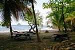The islet Pearl seen from under the sea grapes and coconuts Anse Ceron, Martinique.