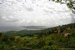 Overlooking the peninsula of La Caravelle from the high, Martinique.