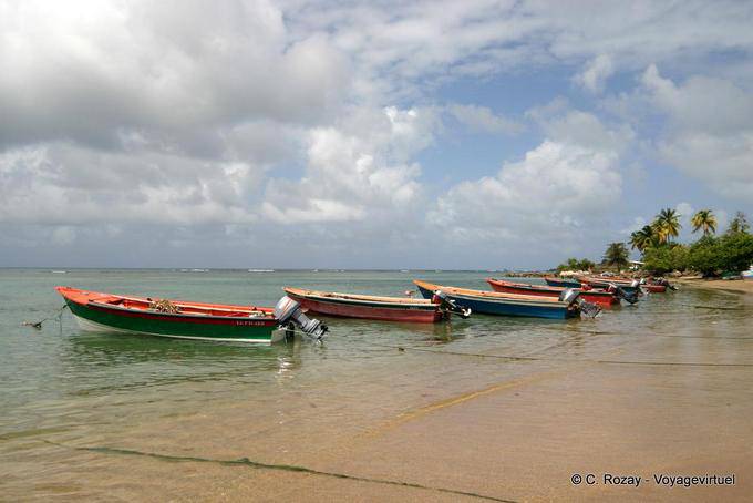 Alignment of fishing boats on the beach, Anse l'Etang, La Caravelle - Martinique