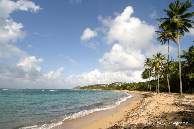 Beach on the Caravelle, Anse l'Etang - Martinique