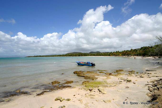 Calm shore near Sainte-Anne - Martinique