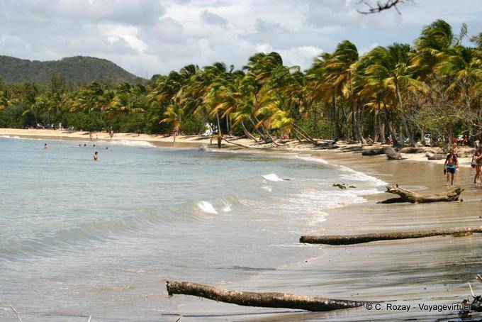 A beach view from the tip of Salines - Martinique