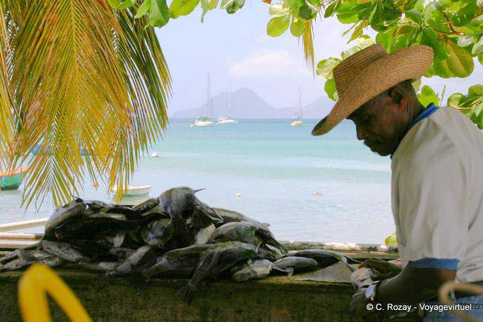 Fisherman selling his fish - Martinique