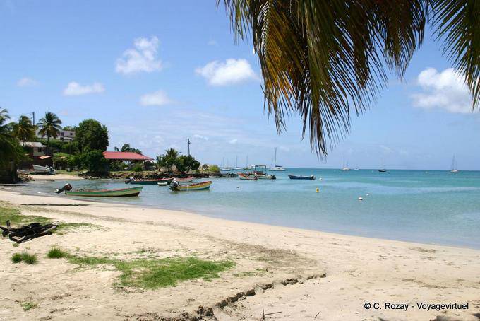 Piece of the beach around Sainte Anne - Martinique