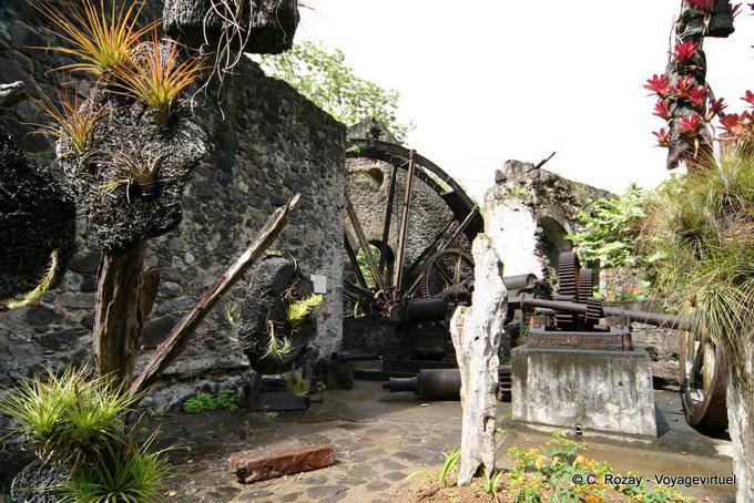 Ruins of the mill and epiphytes, Habitation Anse Latouche - Martinique