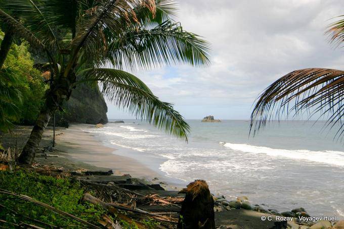 The wild beach of Anse Couleuvre - Martinique