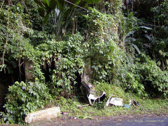 Green Cemetery, car buried under vegetation - Martinique