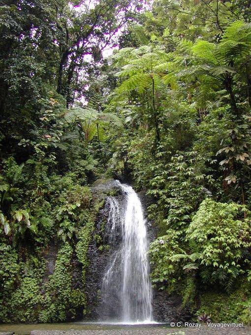 The waterfall Saut Gendarme - Martinique
