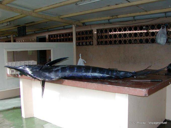 A marlin on the stall, ready to be cut (blue marlin) - Martinique