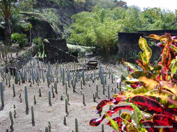 Habitation Anse Latouche, plantation ruins destroyed by the eruption of Mount Pelee - Martinique
