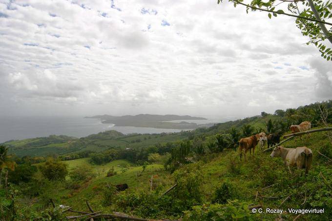 Overlooking the peninsula of La Caravelle from the high - Martinique
