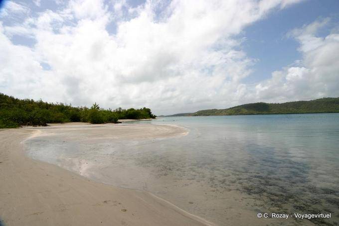 Bay Treasury beach and clear water, peninsula of La Caravelle - Martinique