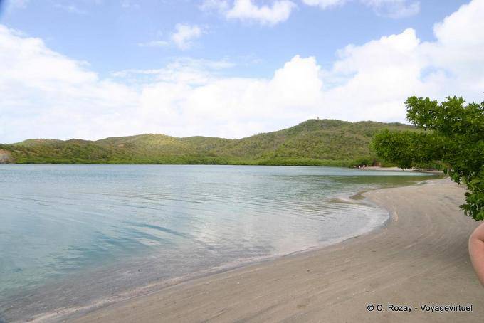 Sand and calm sea in the bay of the Treasury, La Caravelle - Martinique