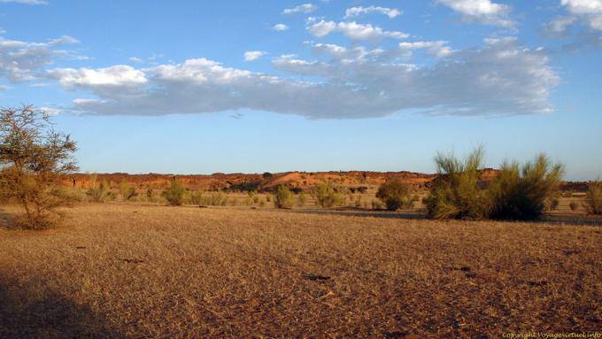 Culture in a Sahelian region, Assaba, Mauritania