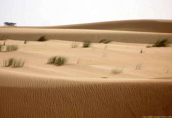 Desert colors, from Nouakchott to the Moroccan border, Mauritania