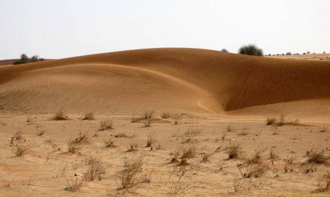 Dunes, from Nouakchott to Morocco's border, Mauritania