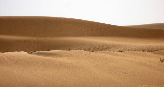 Sand ripples from Nouakchott to Morocco's border, Mauritania