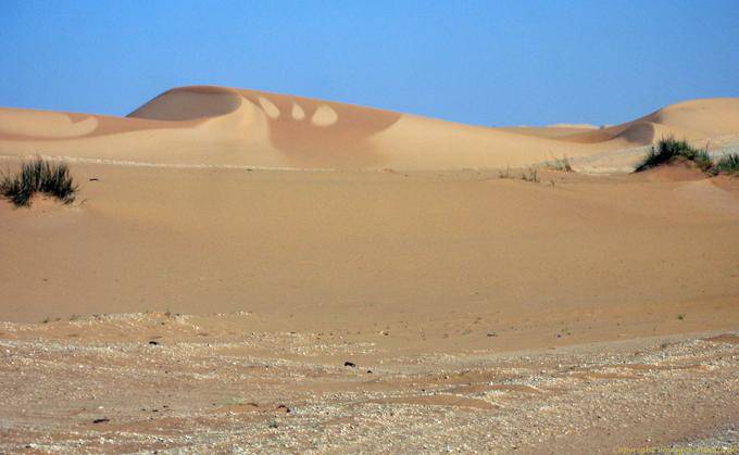 Colors of the sand out to dry between Nouakchott and Morocco's border, Mauritania
