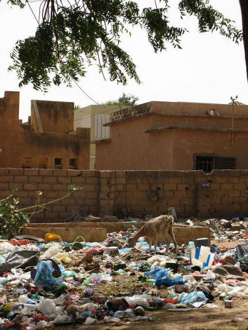 Kaédi in the garbage, Mauritania