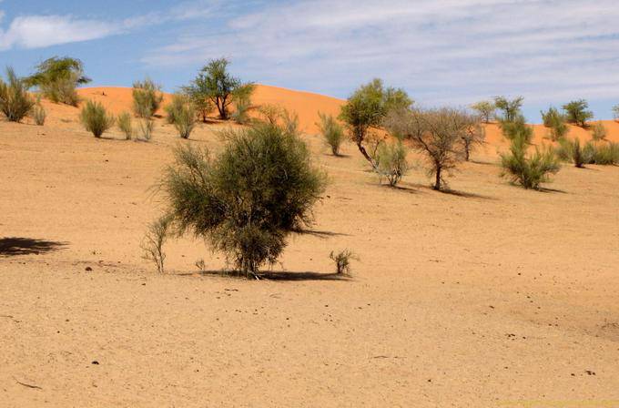Dunes colors, Road Souffa, natural cathedral, Mauritania