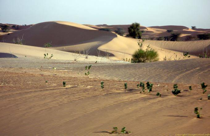 Colors of sand, Hope Road, Mauritania