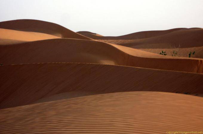 Shadow and light on the dunes, Road of Hope, Mauritania