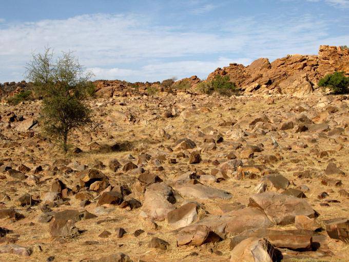 Souffa, unforgiving, Mauritania