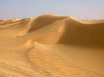 Caress, beauty of the dunes between Nouakchott and Morocco, Mauritania.