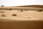 Desert colors, from Nouakchott to the Moroccan border, Mauritania.