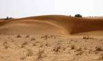 Dunes, from Nouakchott to Morocco's border, Mauritania.