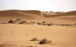 Passage in the Sahara, between Nouakchott and the frontier with Morocco, Mauritania.