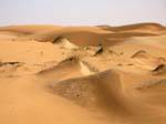 Mini dunes between Nouakchott and the frontier with Morocco, Mauritania.