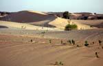 Colors of sand, Hope Road, Mauritania.