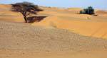 Set of dunes, Hope Road, Mauritania.