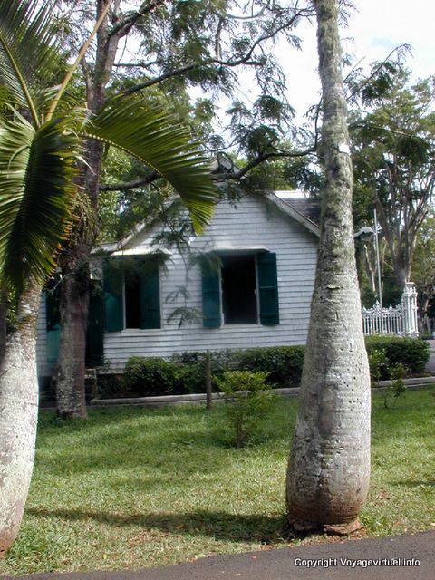 Trunk of a palm tree, La Bourdonnais Avenue, Pamplemousses, Mauritius.