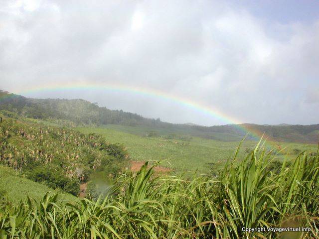 Arc-en-ciel in sugar cane fields, Plaine Champagne, Mauritius.