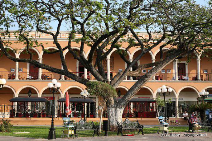 Tree in front of the arches Plaza de la Independencia, Campeche - Mexico