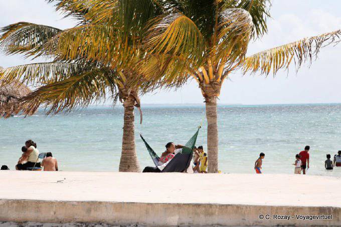 A hammock between palm trees, Puerto Juárez - Mexico