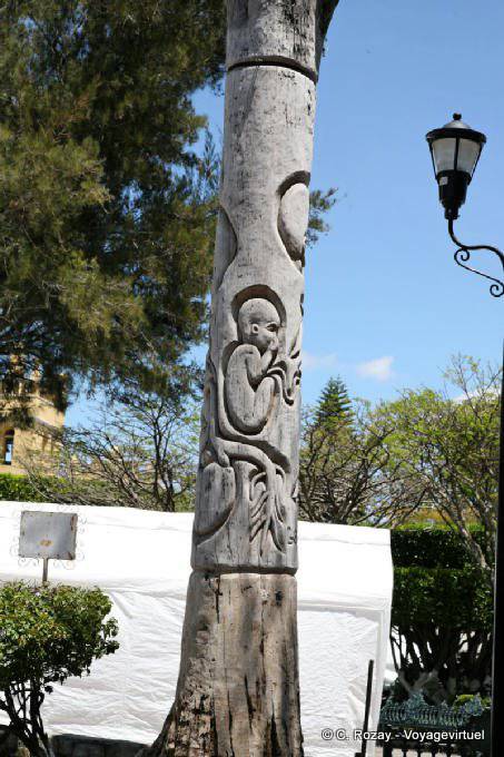 Sculpture on a tree trunk, Zocalo, Comitan de Dominguez - Mexico