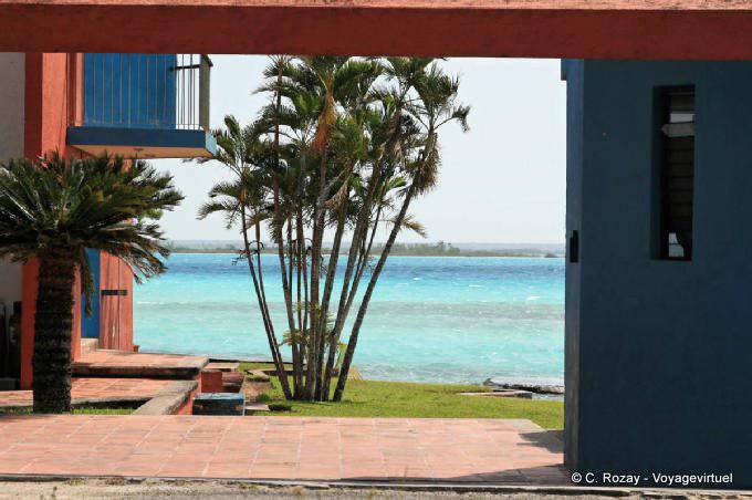 Palm trees on the shore of Laguna Bacalar - Mexico