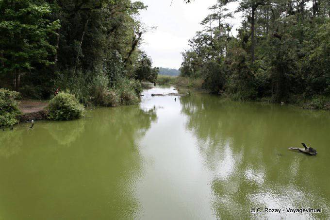 Green water, Lagunas de Montebello, Laguna Esmeralda - Mexico